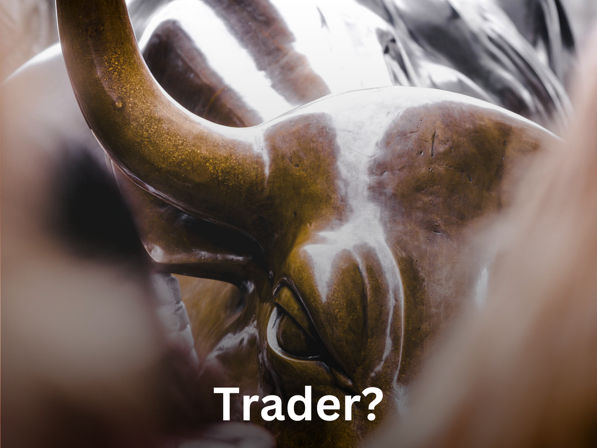 trader